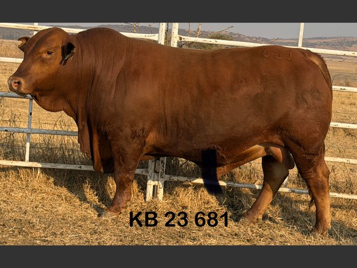 KB23681