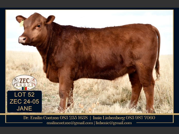 ZEC 240003 | Z.E. COETZEE