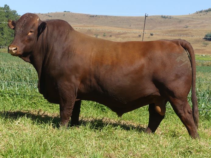 LAR 230160 | UP GEORGE FARMS CC