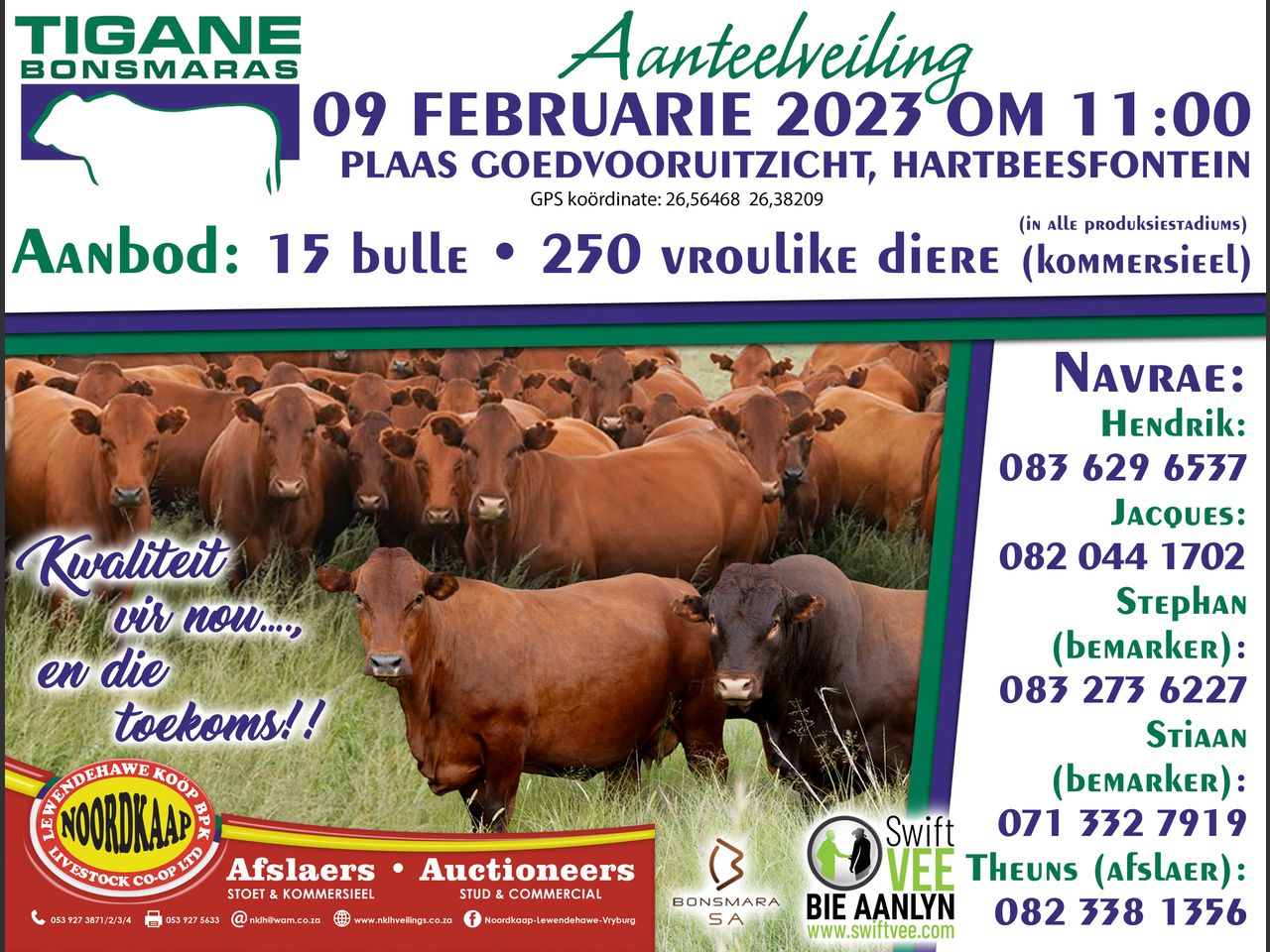 TIGANE BONSMARAS AANTEELVEILING | SwiftVEE | South Africa’s Leading ...