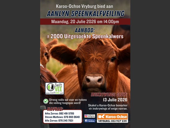 KAROO OCHSE AANLYN SPEENKALFVEILING