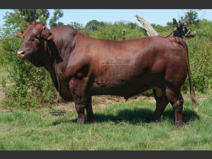 JSM220121 | THUSO GRAAN EDMS BPK