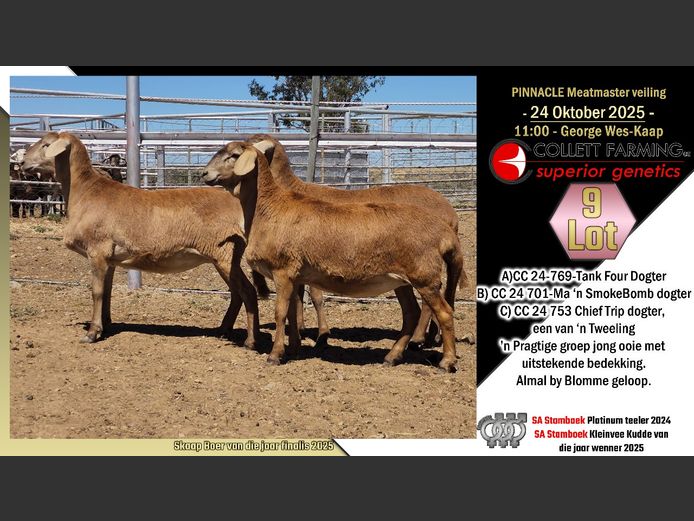 CC  240769 | COLLETT FARMING CC