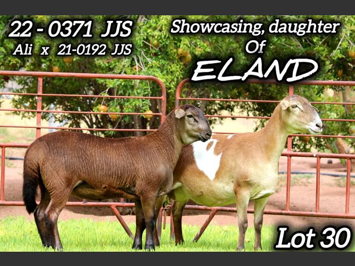 22-0371 JJS | KAMEELHOEK MEATMASTERS