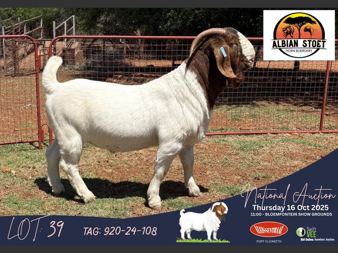 920 240108 | Albie en Louwan Horn