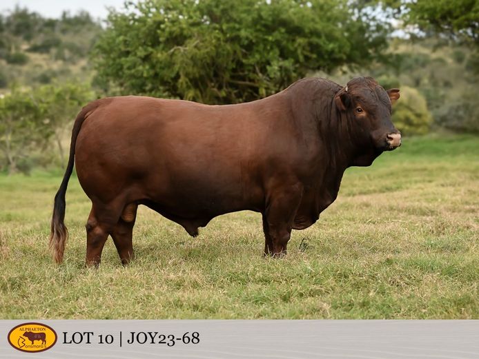 JOY230068 | FETTING LIVESTOCK TRUST