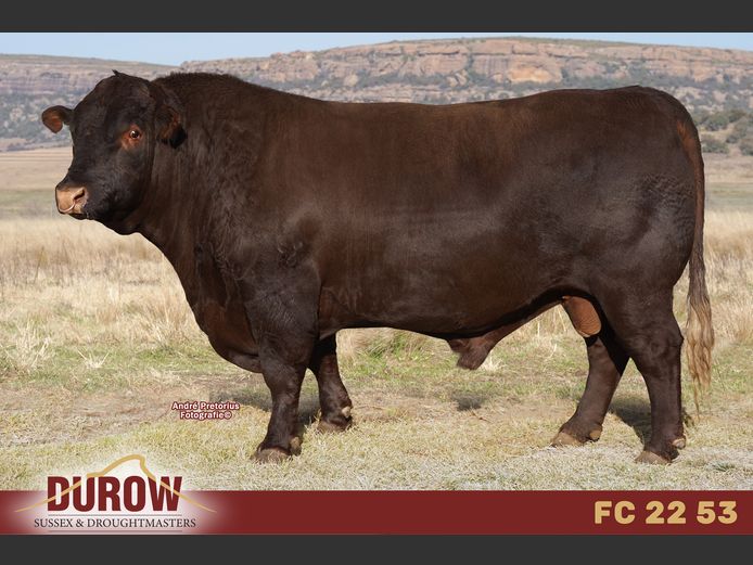 FC 220053 | FC DUROW TRUST