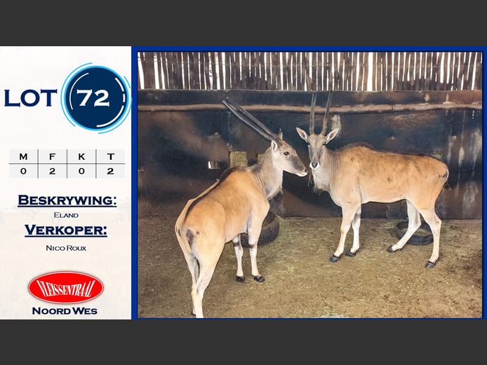 Eland