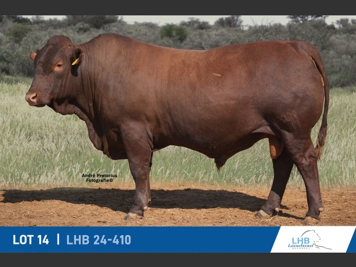 LHB240410 | LEEUHEUWEL BOERDERY (EDMS) BPK