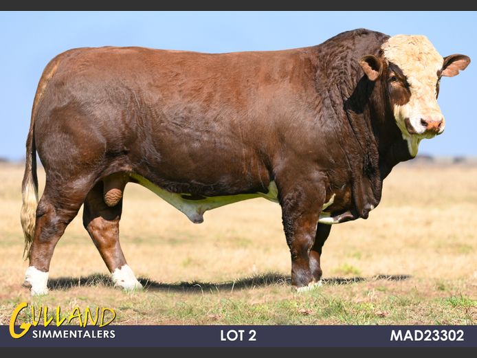 MAD23302 | MG DE JAGER