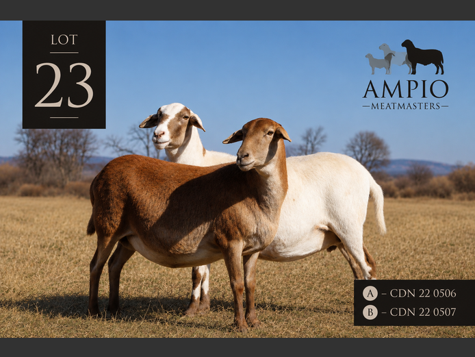 CDN 22 0507 | Ampio Meatmasters