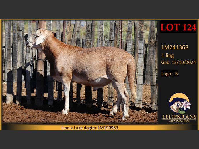 LM241368 | LELIEKRANS MEATMASTERS