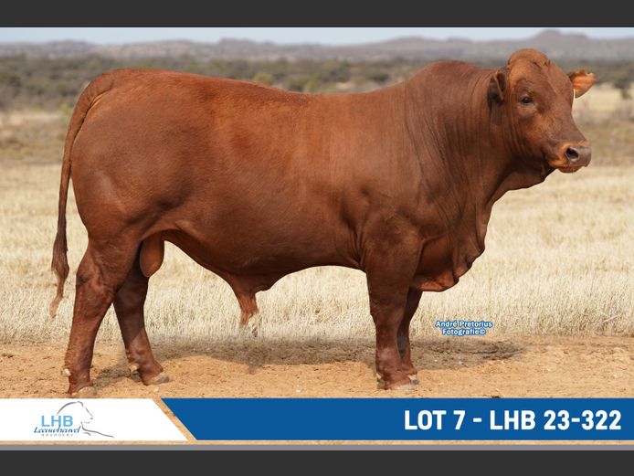 LHB230322 | LEEUHEUWEL BOERDERY (EDMS) BPK
