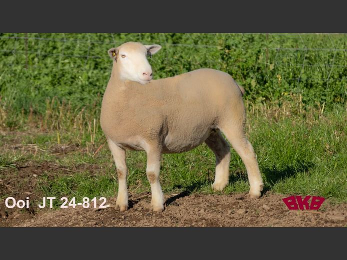 JT240812 | REMKUIL BOERDERY (EDMS) BPK