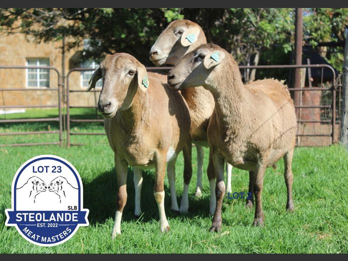 SLP23-1054  | Steolande Boerdery