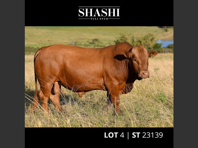 ST 230139
