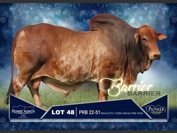 PRB 220051 | PEINKE RANCH