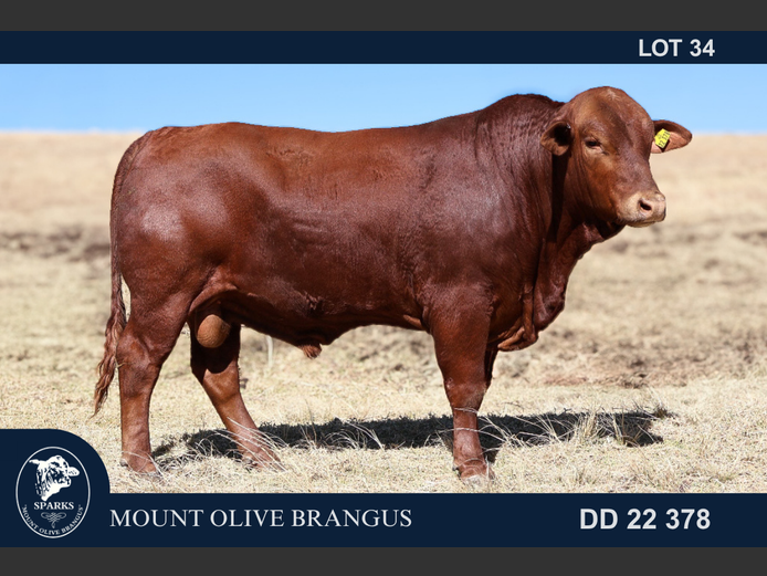 DD22378 | SPARKS CDH