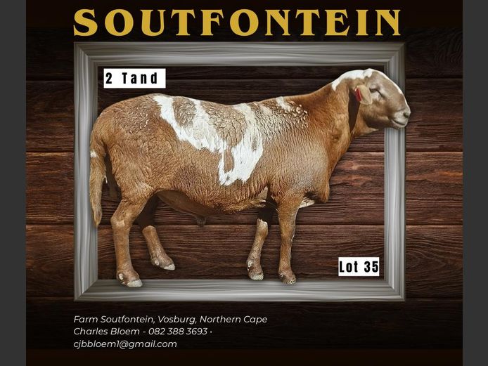 CB 240144 | SOUTFONTEIN MEATMASTERS