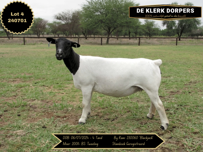 240701 | DE KLERK DORPERS