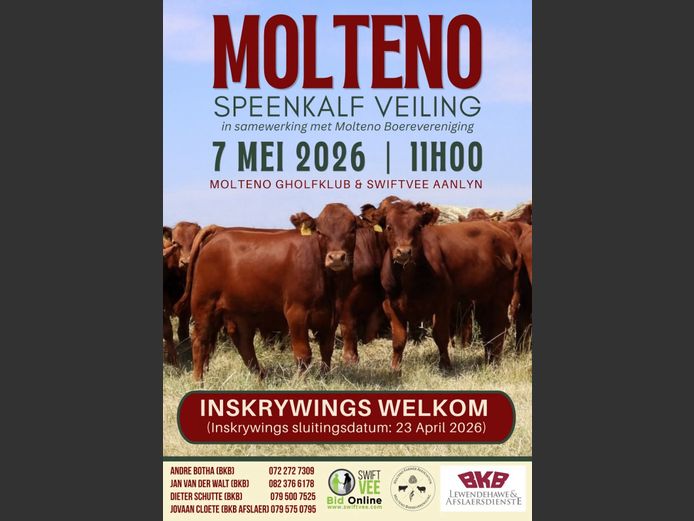 MOLTENO SPEENKALF VEILING