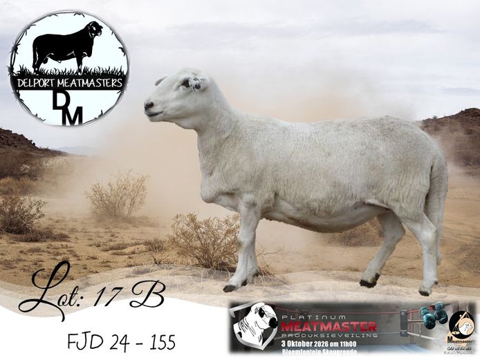 FJD 24-155 | Delport Boerdery