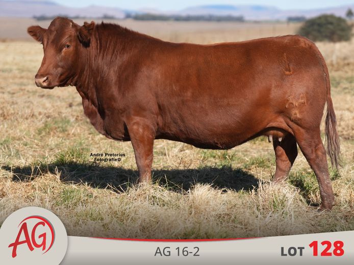 AG160002 | ARTHUR DE VILLIERS & SEUN