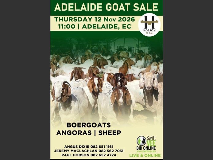 ADELAIDE GOAT SALE