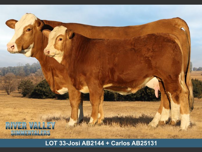 AB2144 | PA ABRAHAMSE