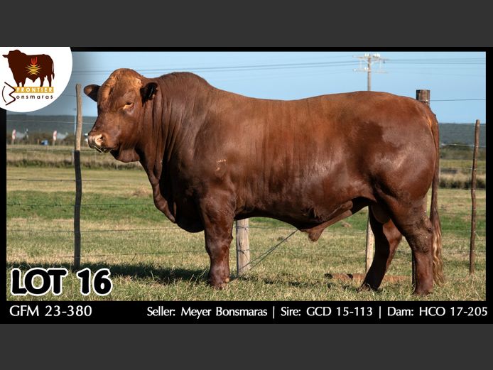 GFM 230380 | MEYER BONSMARAS