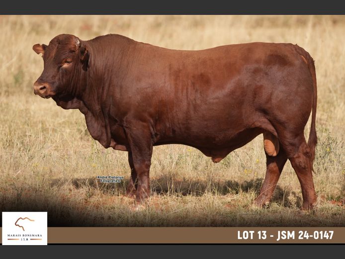 JSM 240147 | MARAIS BONSMARAS