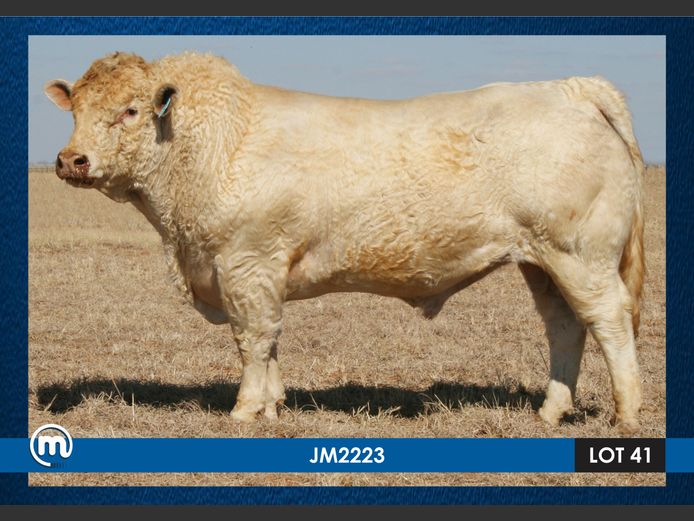 JM 220023