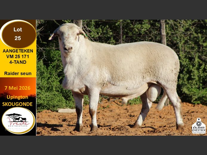 VM 25 171 | VREDE MEATMASTERS
