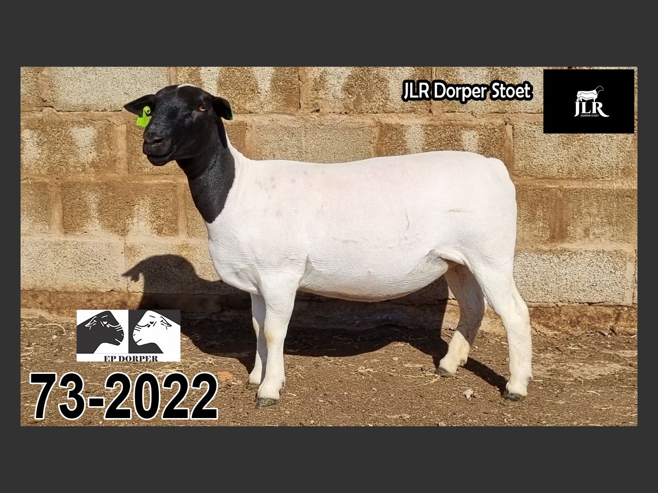 images