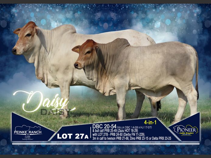 DBC 200054 | PEINKE RANCH