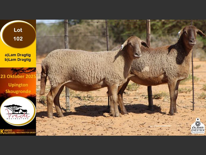 PS 102B | Peter & Christia Scholtz - Vrede Meatmasters