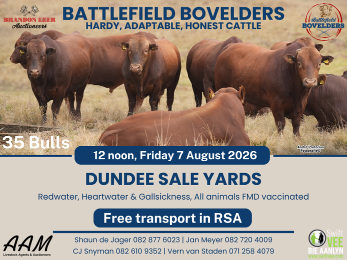 BATTLEFIELD BOVELDERS AUCTION