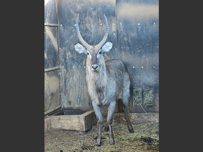 WATERBOK | MOSDENE