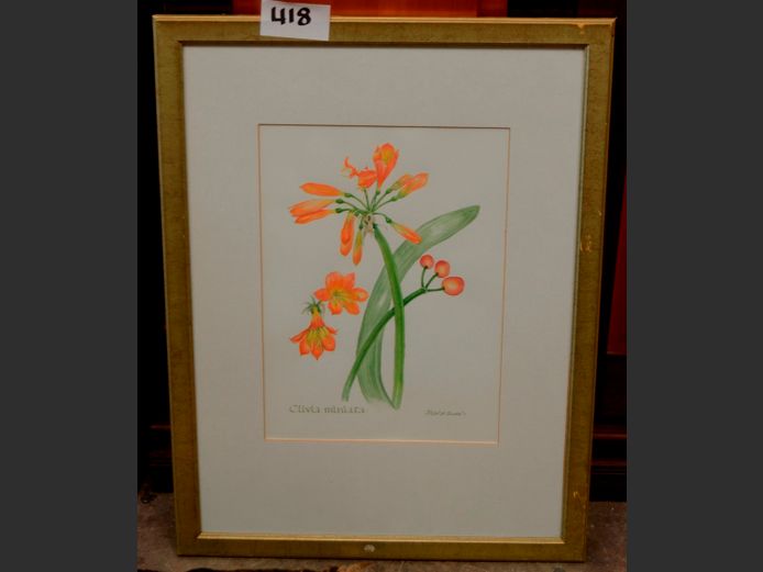 FRAMED PRINT "CLIVIA", 36 x 26cm