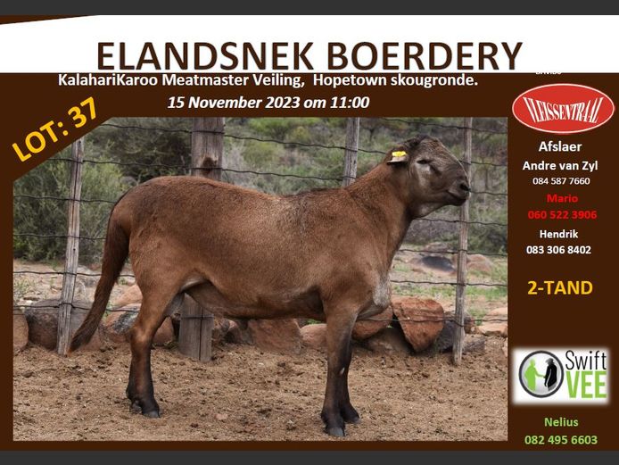 RSL B 253 | ELANDSNEK BOERDERY