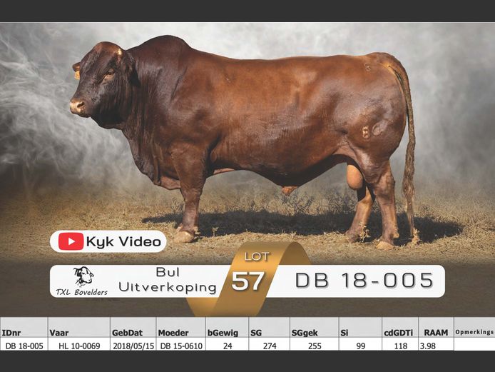 DB 18-005