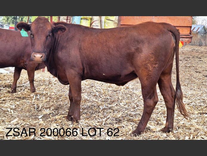 ZSAR200066 | S.A. ROOS
