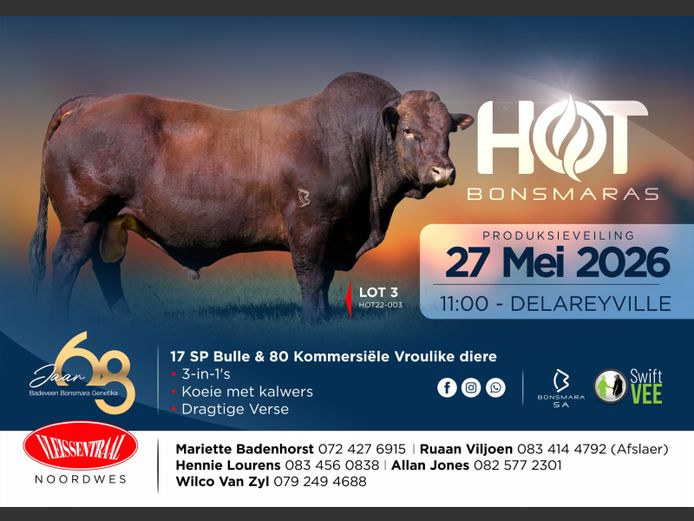 HOT BONSMARAS VEILING