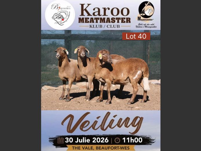 D25.252 | Jacques Strydom - Karoo Shalom Meatmasters