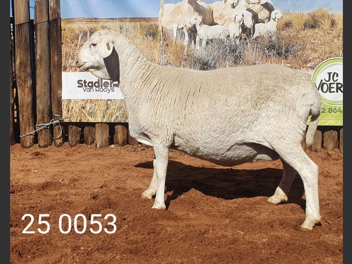 25 053 | Johan Stadler