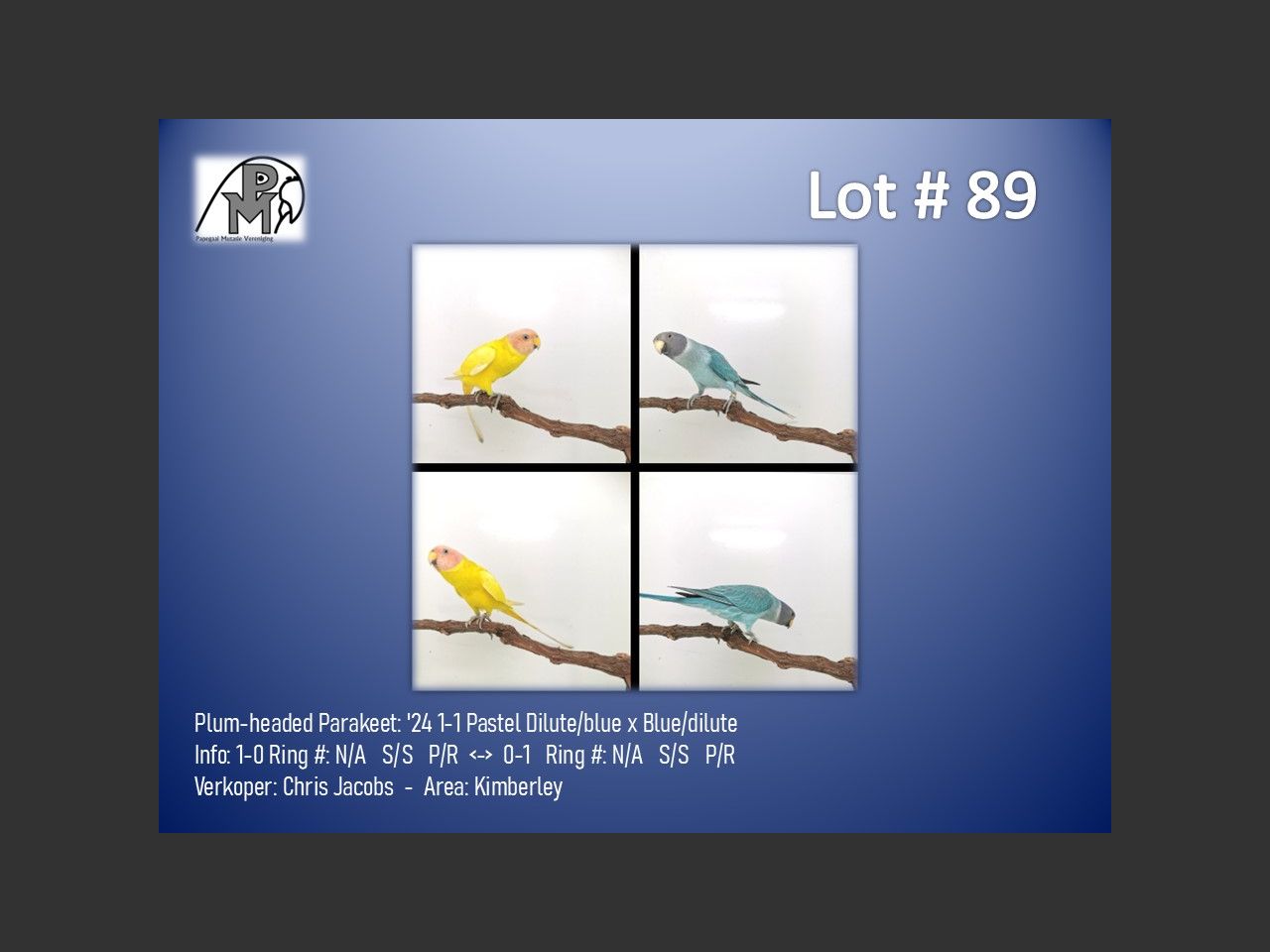 images