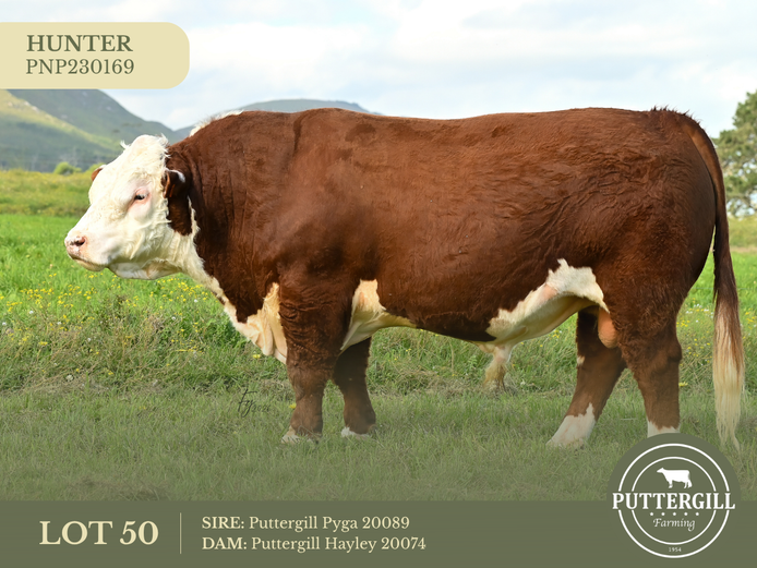 PNP230169 SC