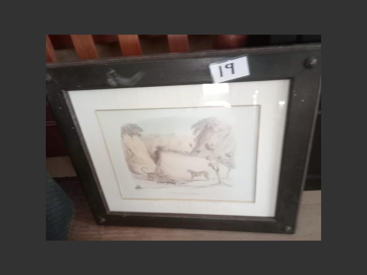 images
