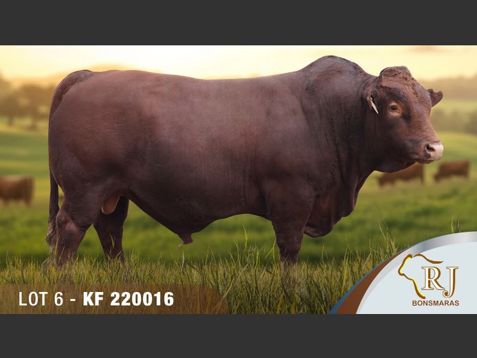KF220016 | RJ BONSMARAS