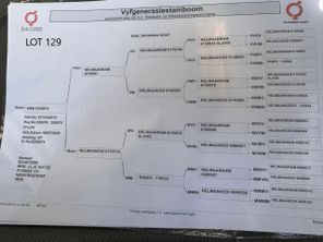 genetic_data